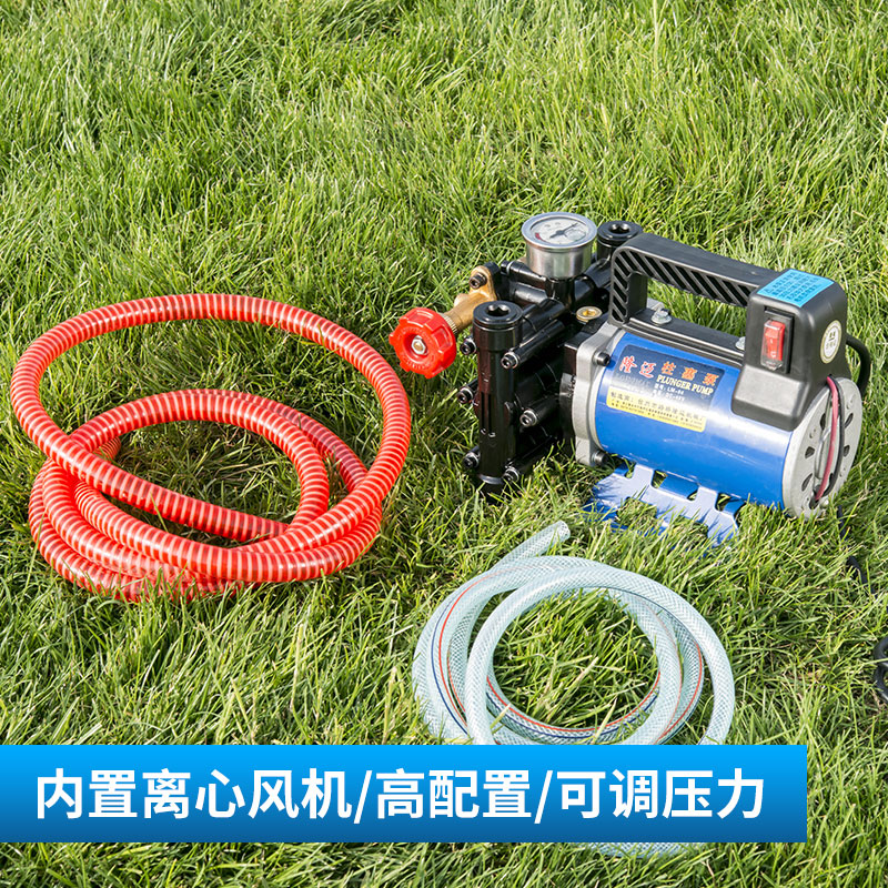 手提式打药机农用电动果树喷雾器12v48v60v220伏高压双缸柱塞药泵