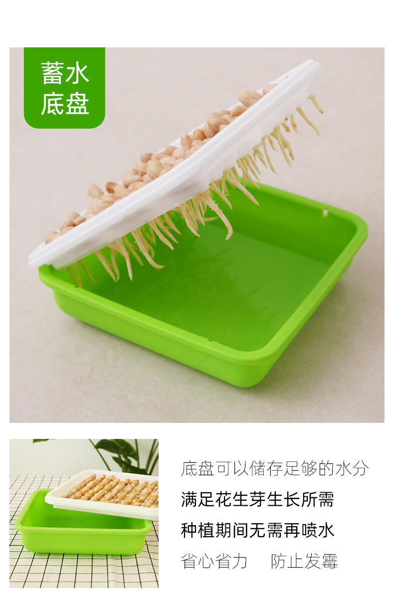 毛笔架种花生芽发芽神器水培箱种植盒专用盘豆苗育苗盆种子籽机豆芽菜