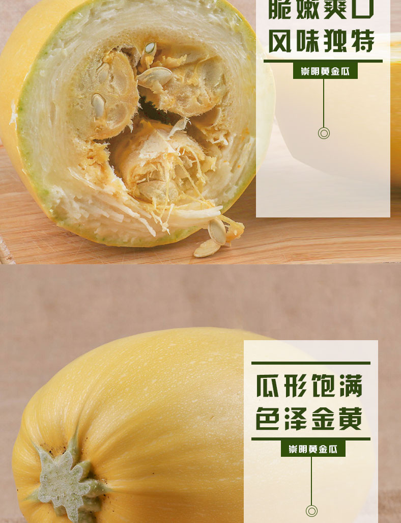 崇明特产 黄金瓜绞丝瓜金丝瓜 4-5斤/个 农家种植 新鲜蔬菜