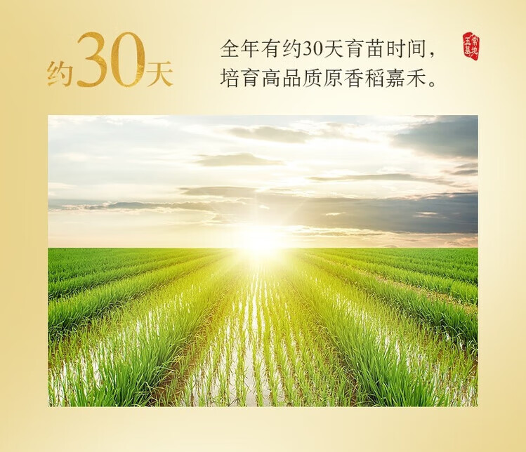 f8b6ad361e63acd4.jpg