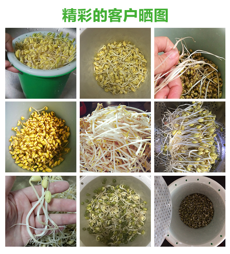 津弗其它厨房小家电yqd-025 生豆芽罐盆家用发豆芽机.