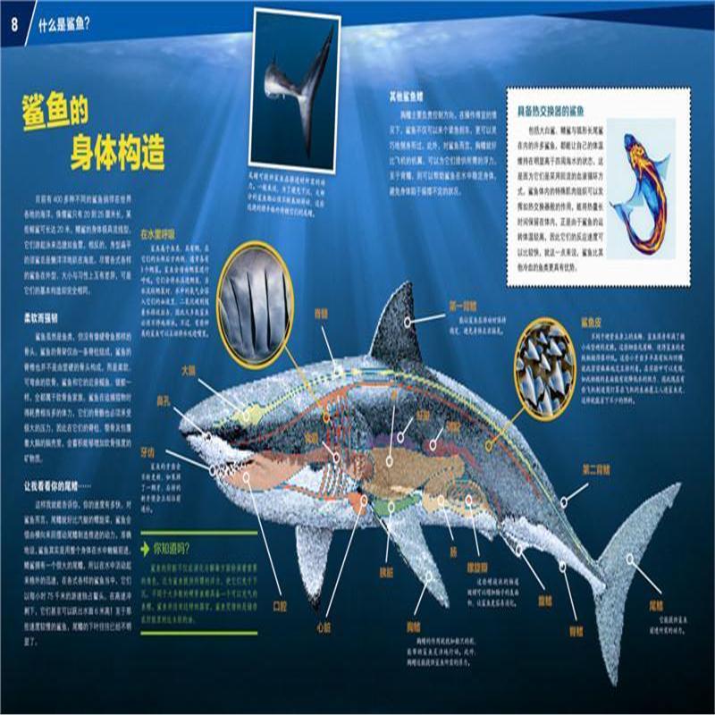 全新正版什么是什么珍藏版鲨鱼家族