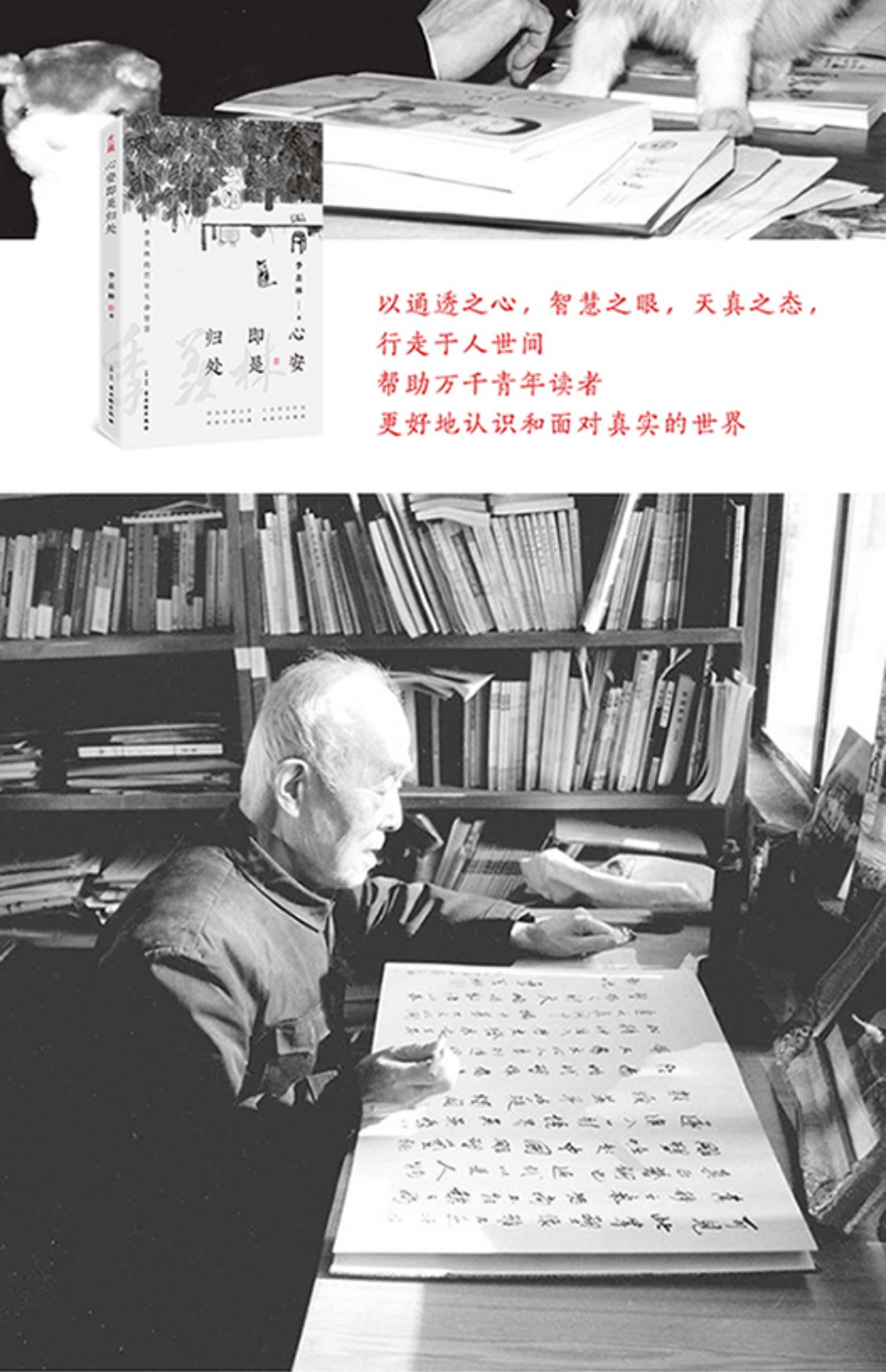 【颜系图书】心安即是归处季羡林散文书籍精选名家经典文学小说著作近