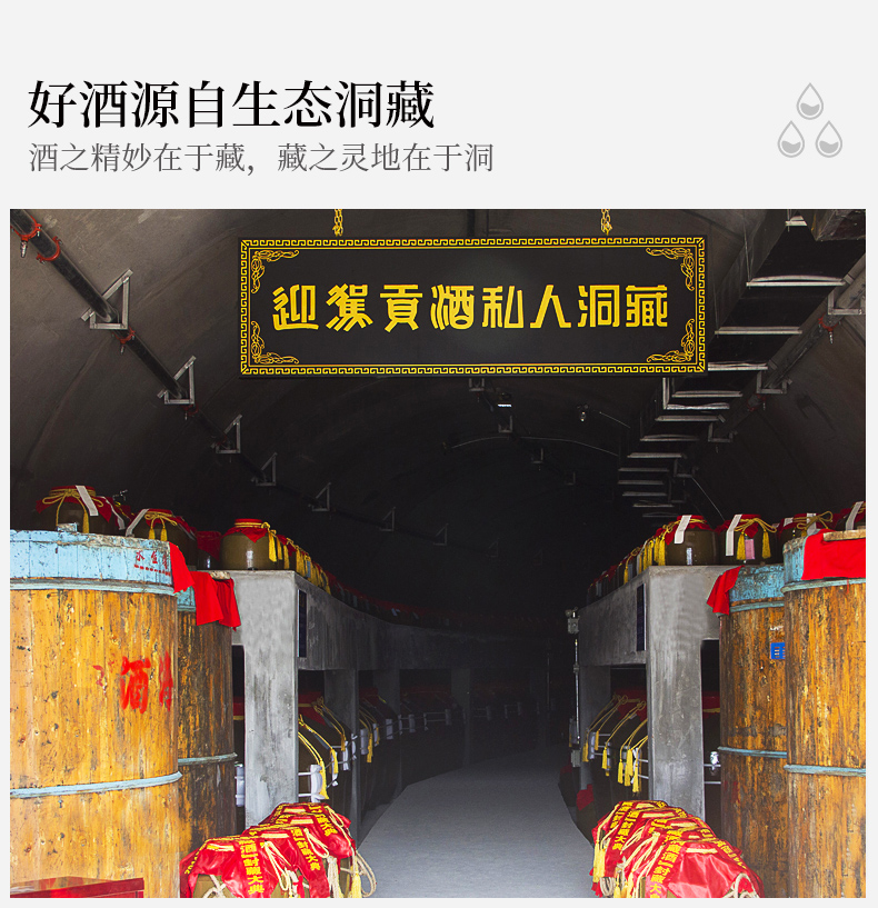 【酒厂自营】迎驾贡酒52度生态洞藏16 520ml*4瓶 高度国产白酒箱装纯