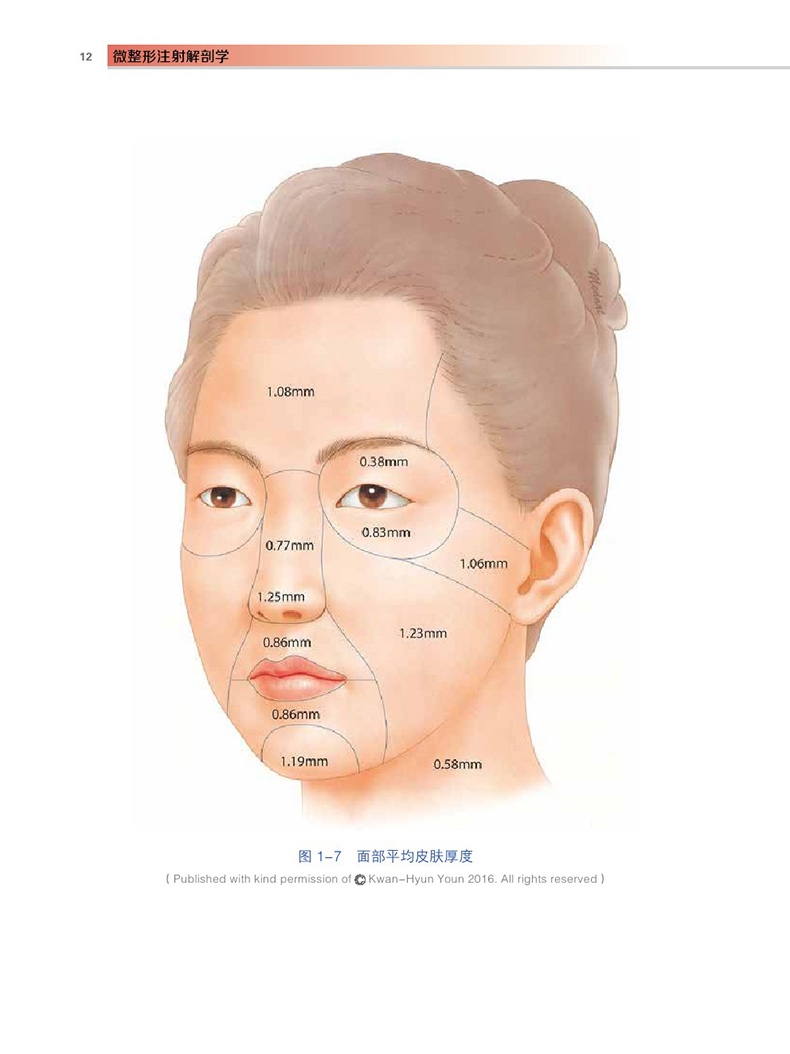 微整形注射解剖学曹思佳韩国微整注射丛书四肉毒毒素注射