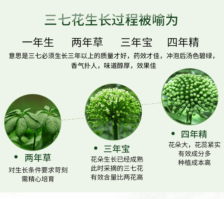 个人店其他品牌香筒 精选三七花 云南文山三七花茶 田七花罐装 70g