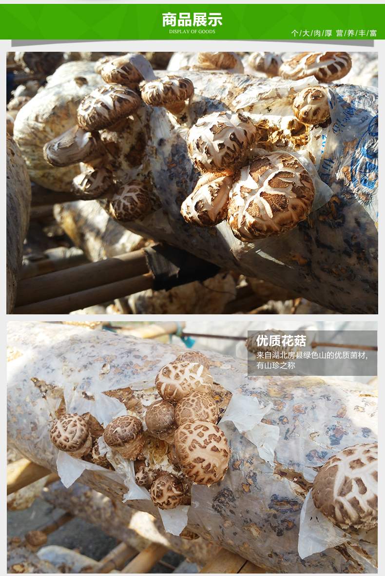 野藤wildvine花菇200g菌菇干货香菇干花菇山珍四川土特产蘑菇正品承诺
