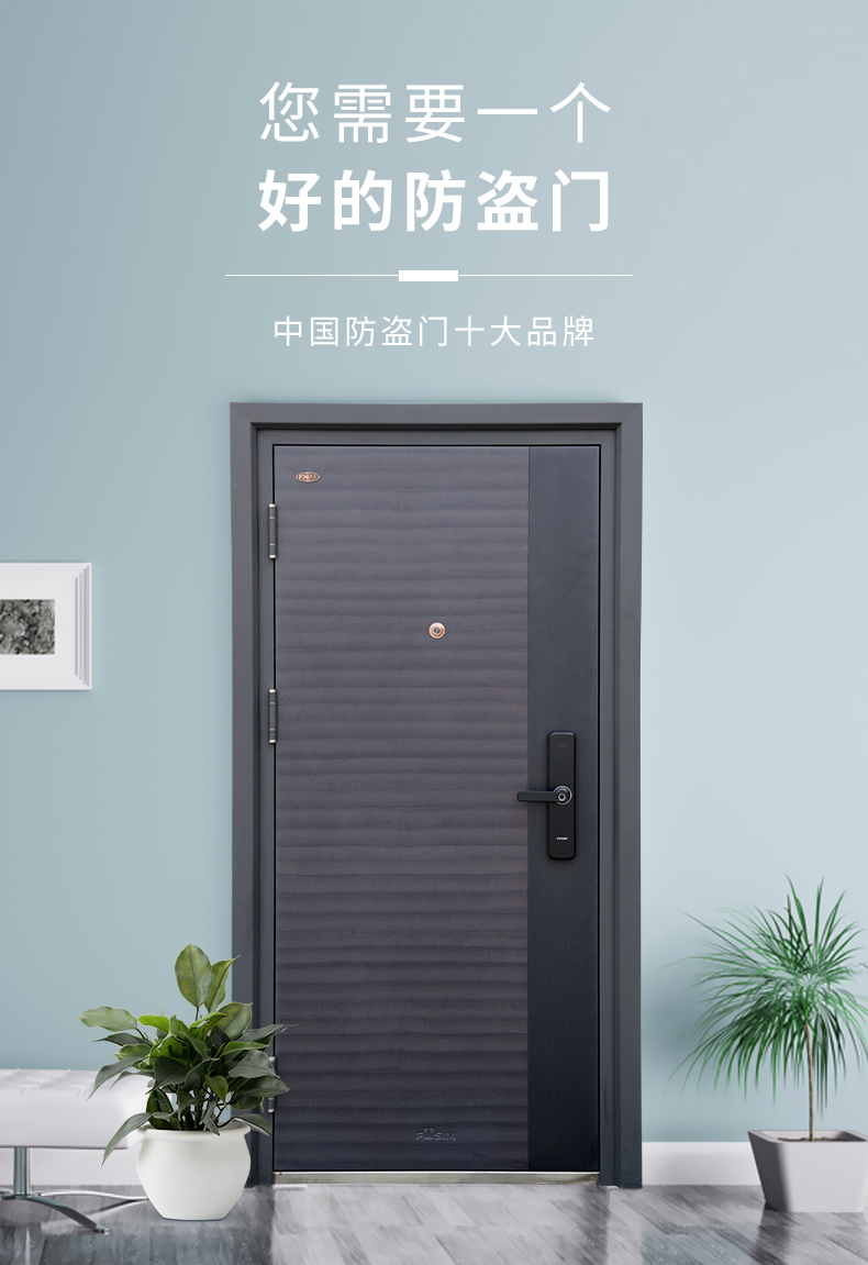 富新泰丰进户门 富新甲级平板简约大门 防盗门 进户门