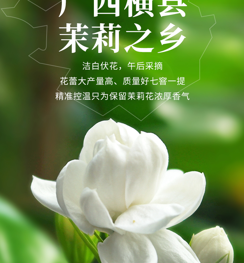八闽东华花草茶 八闽东华茉莉花茶500g茉莉女儿环礼盒装茉莉绿茶仙女