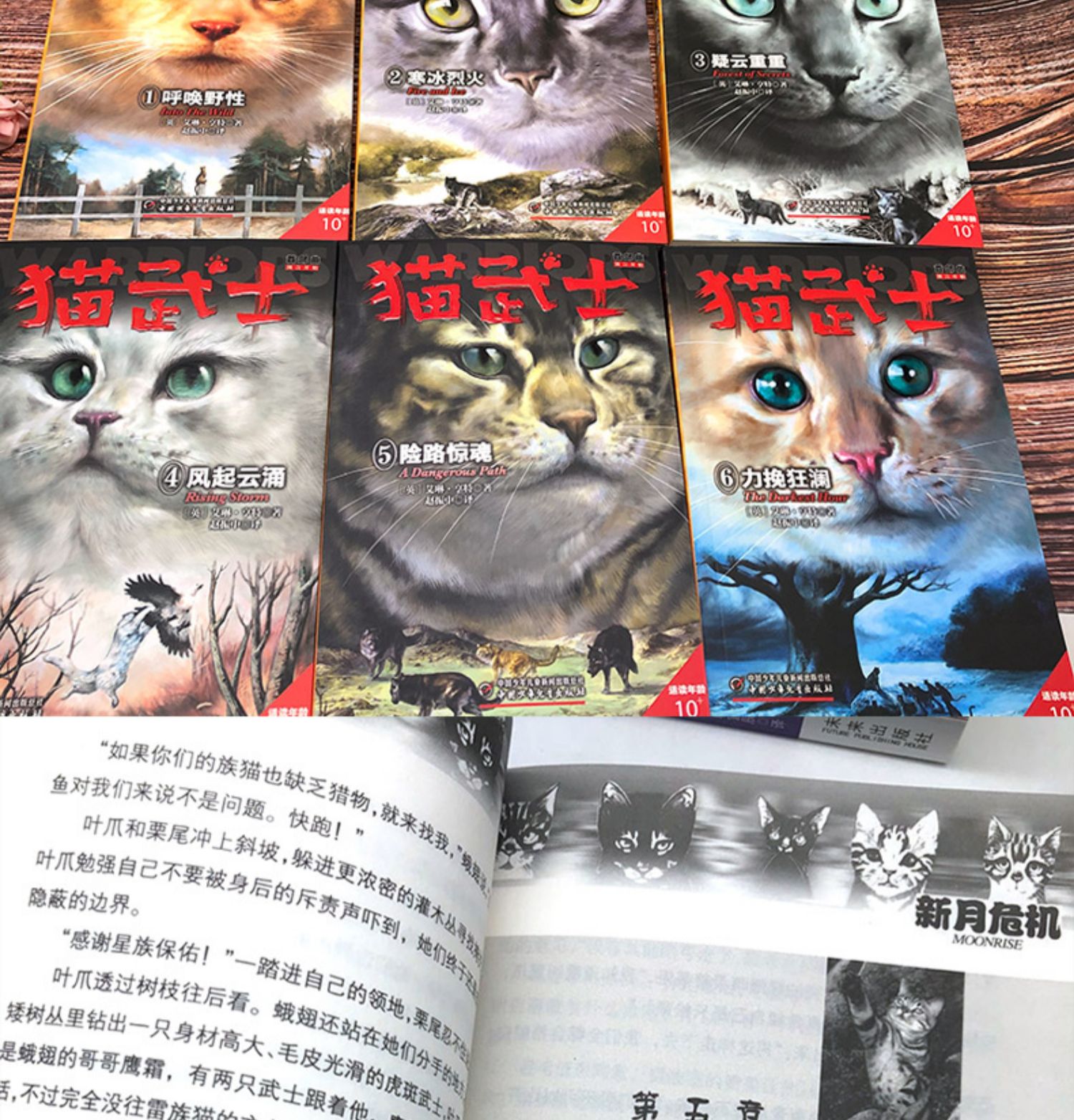 《鹏辰正版猫武士首部曲全套6册一部曲呼唤野性寒冰烈火疑云重重风起