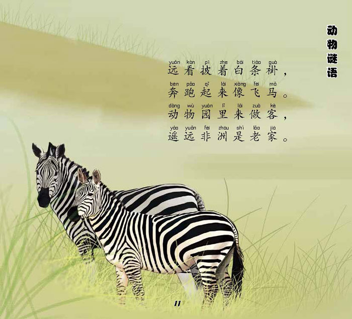 友一个正版红贝壳金色童书儿童谜语300则注音版368岁幼儿园中大班小学