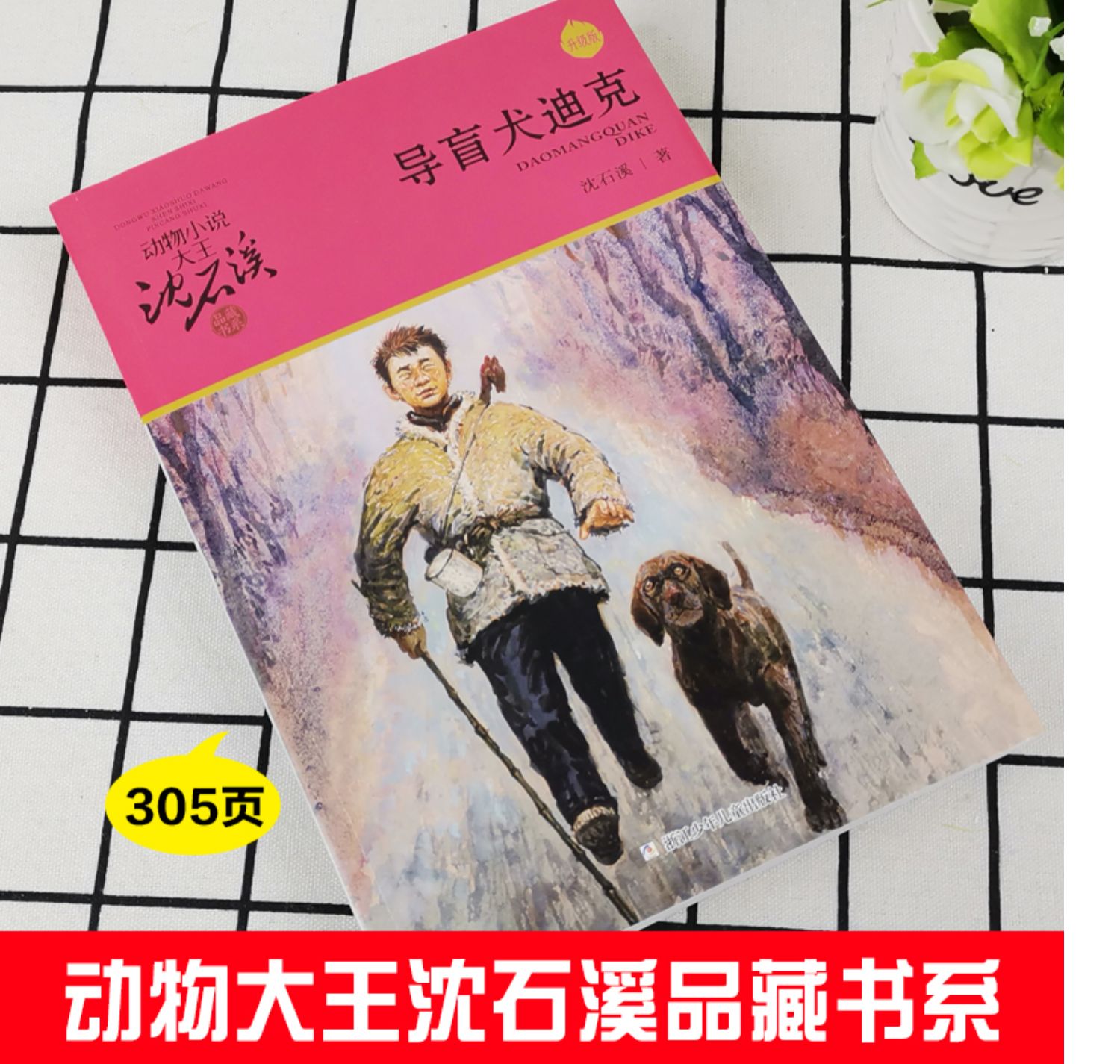 [诺森正版]正版升级导盲犬迪克动物小说大王沈石溪品藏书系单本全集