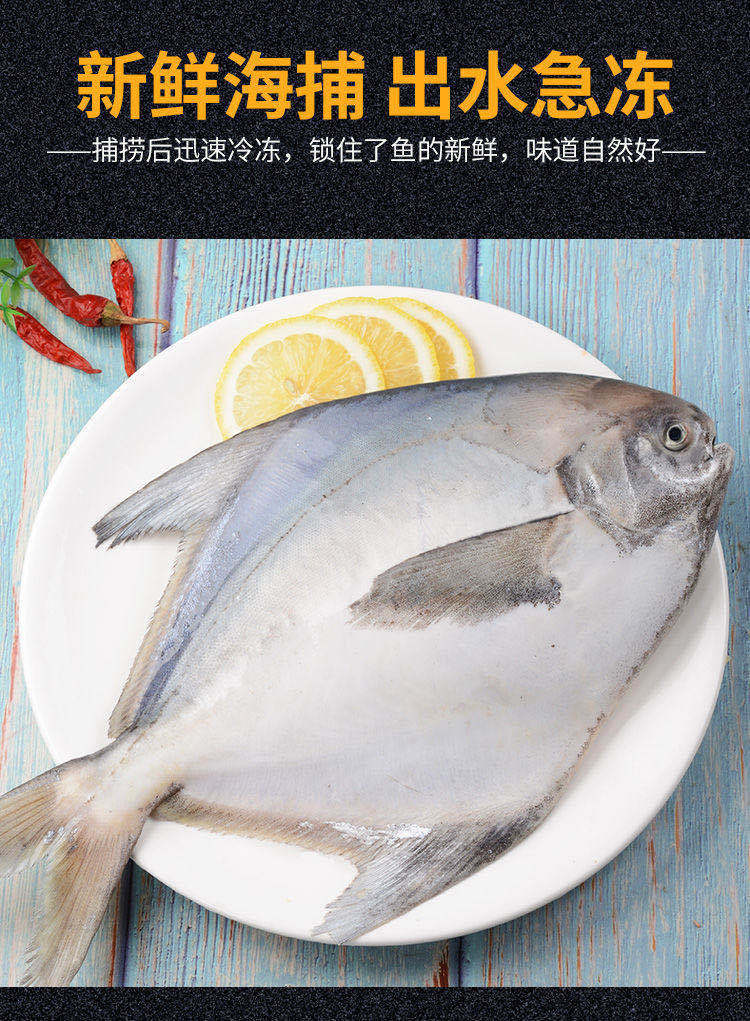 核心/进口: 类别:冰鲜淡水鱼 种类:鲳鱼 鱼肉部位:整条