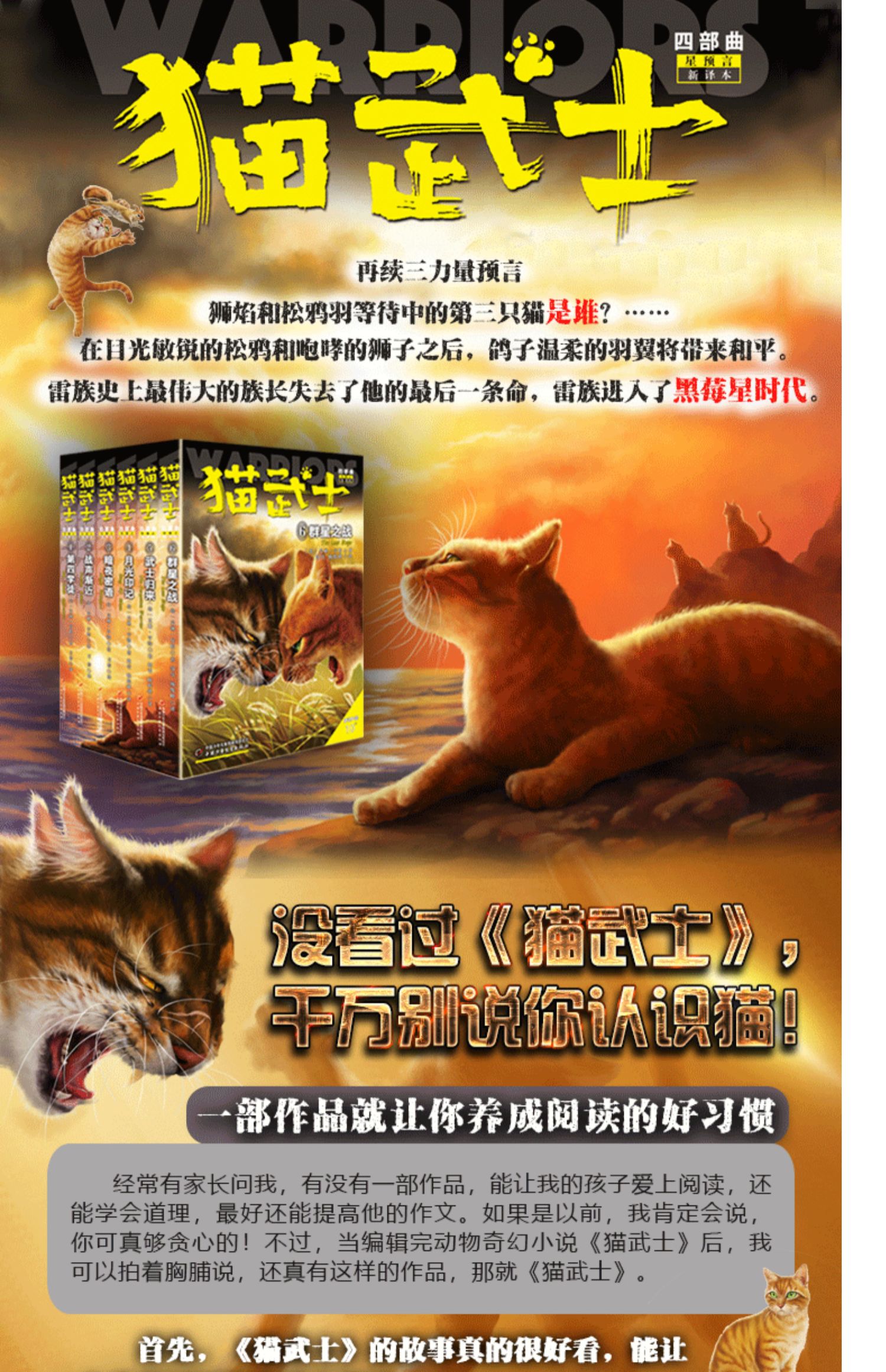 猫武士四部曲全套6册 猫武士星预言 中小学生课外书8-12岁三四五年级