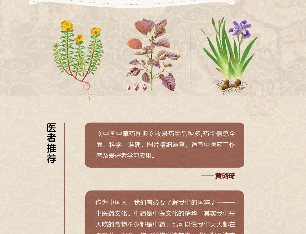 【赠本草纲目 黄帝内经】中国中草药图典 精装中草药鉴别介绍中医中