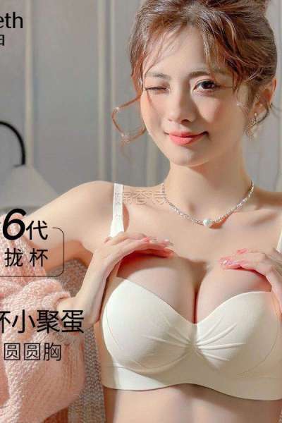 内衣女小胸聚拢调整型无钢圈收副乳防下垂上托文胸罩