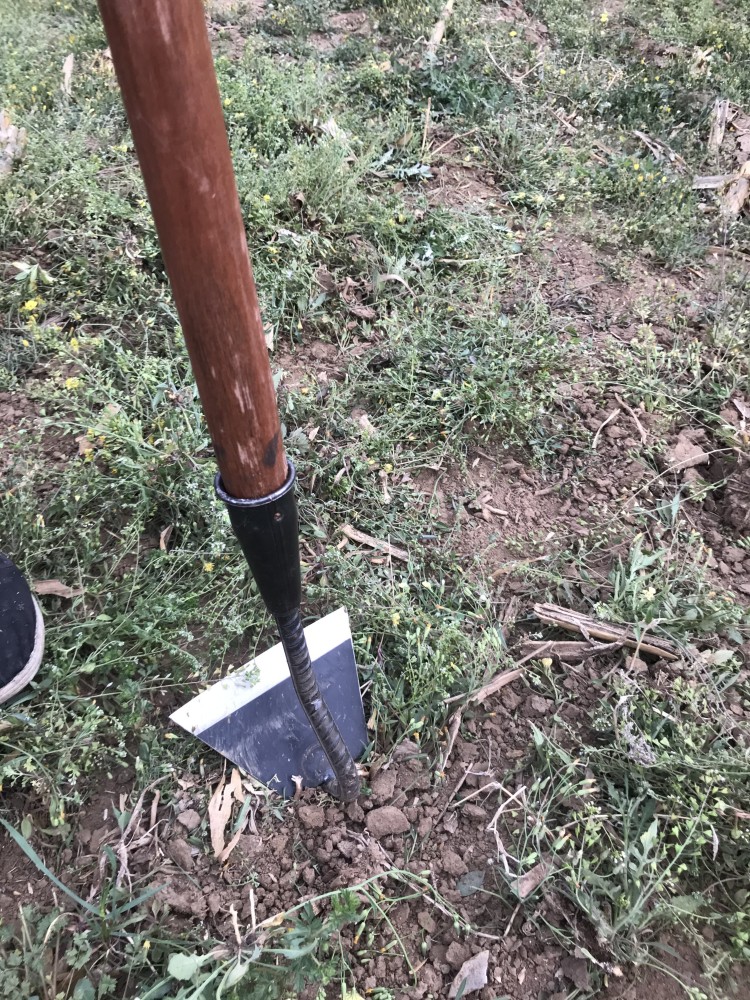 敬平锄地除草锄头铲草开荒松土农具园林园艺除草工具锰钢锄头花园除草