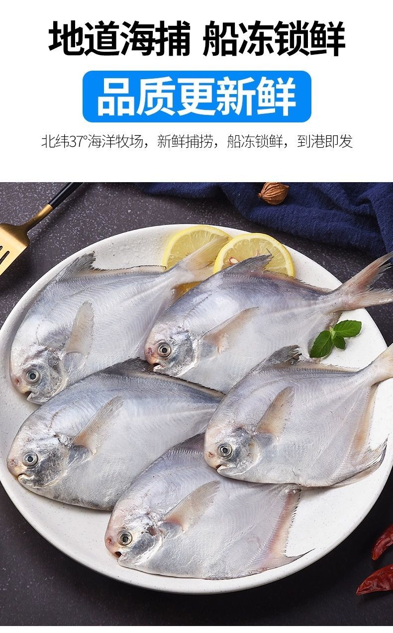 核心/进口: 类别:冰鲜淡水鱼 种类:鲳鱼 鱼肉部位:整条