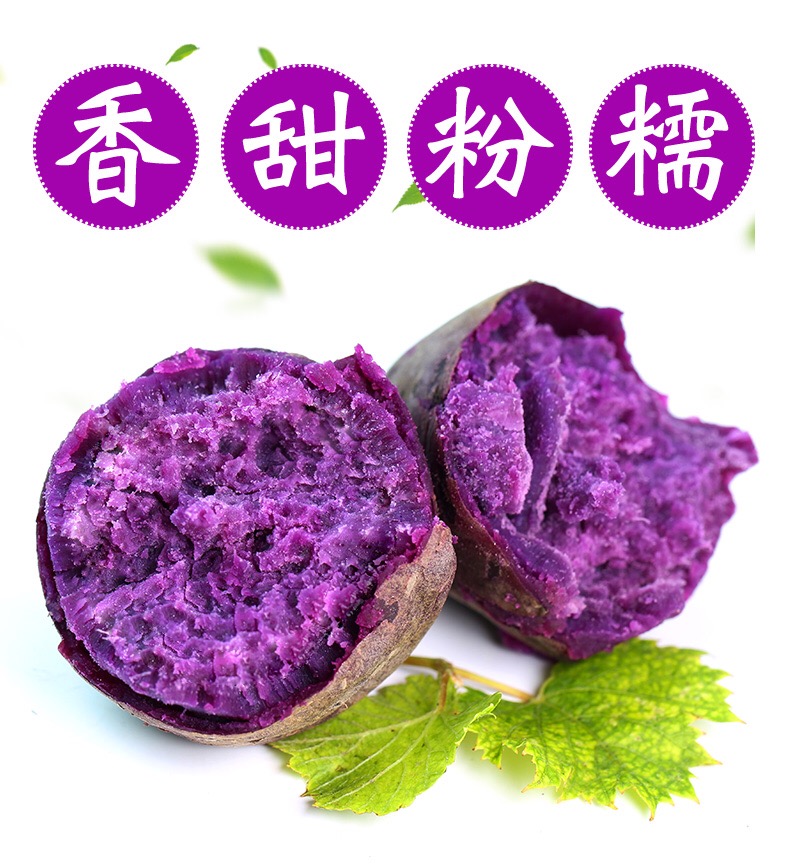  【领劵立减5元】 新鲜紫薯  农家自种现挖现发 香甜粉糯