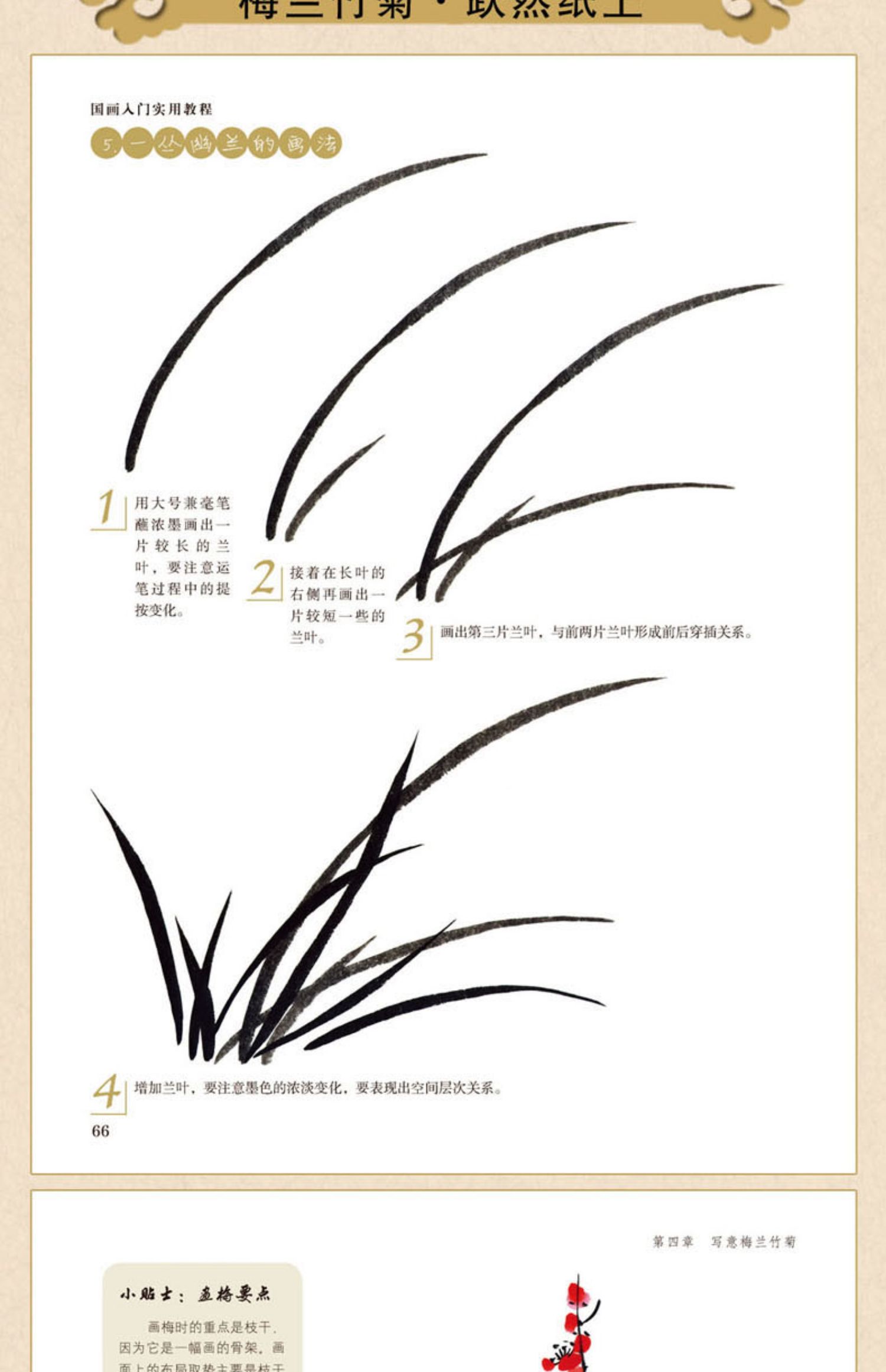 国画入门实用教程张恒国著 写意中国画技法书零基础国画初学者自学