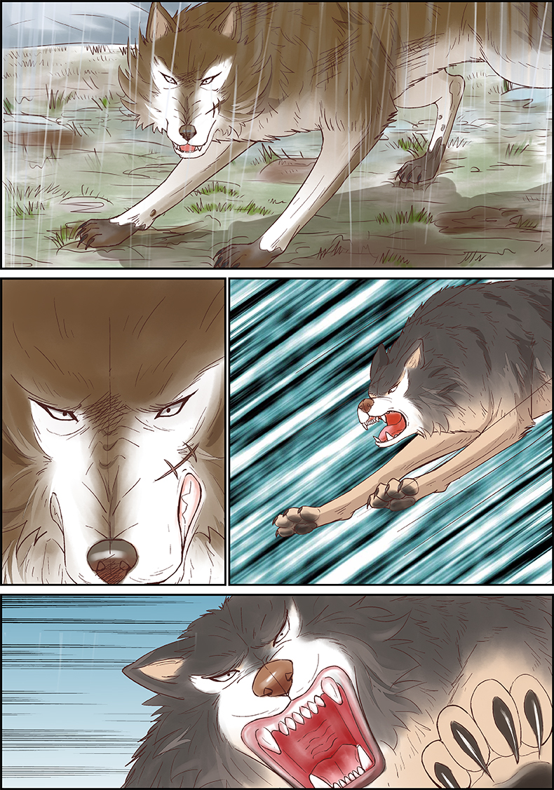 【颜系图书】沈石溪狼王梦漫画版动物王国小说全套6册 沈石溪的书小