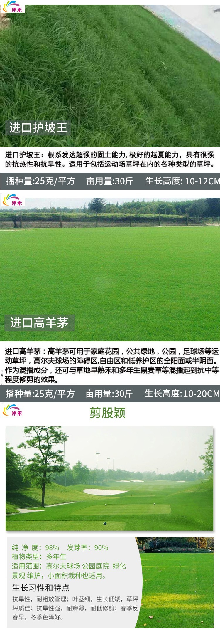 草坪种子草坪四季青草籽果岭草球场别墅庭院护坡耐寒旱耐践踏不修剪