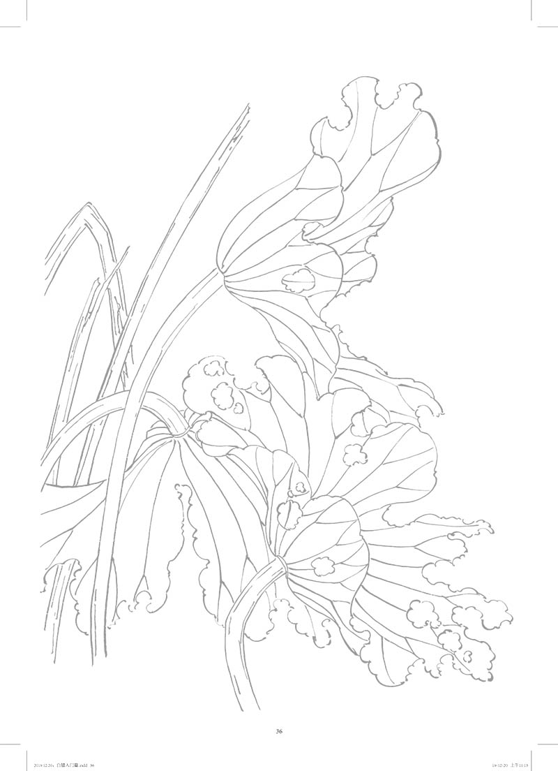 【诺森正版】中国画白描入门篇 花卉篇 勾线笔三件套 白描画谱底稿