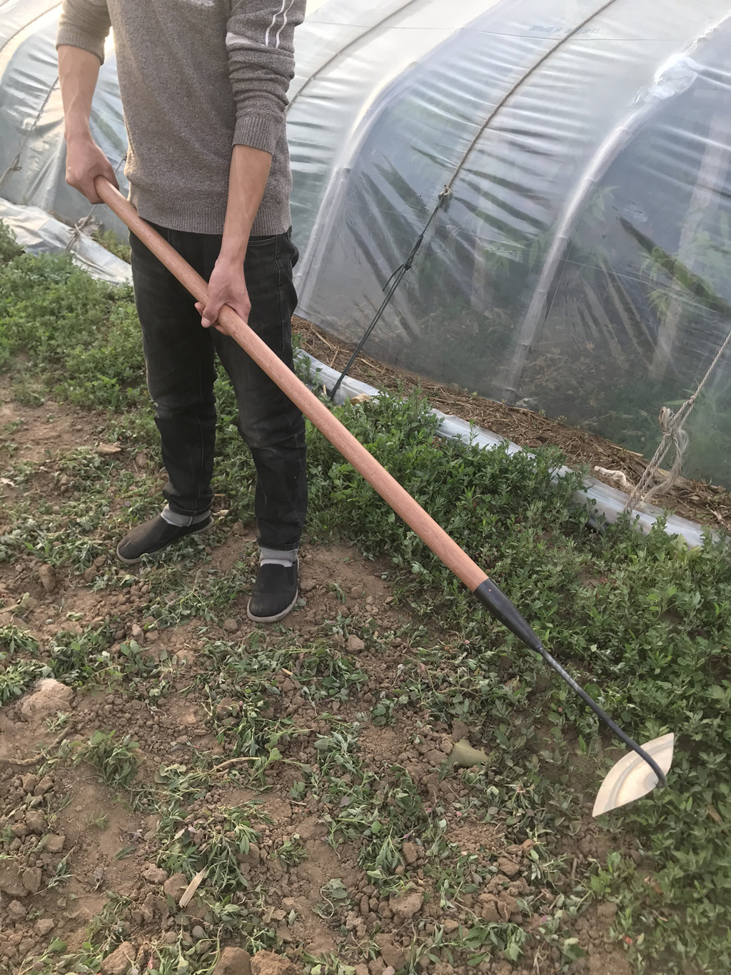 大锄头除草铲草长把柄锰钢开刃绿化园艺除草器老式锄头空心漏土三维