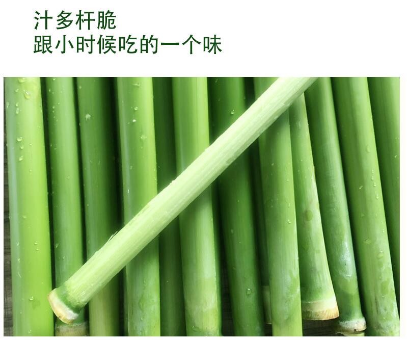 2.5kg 甜杆 小甘蔗新鲜甜芦粟 甜高粱杆芦稷甜梭甘蔗