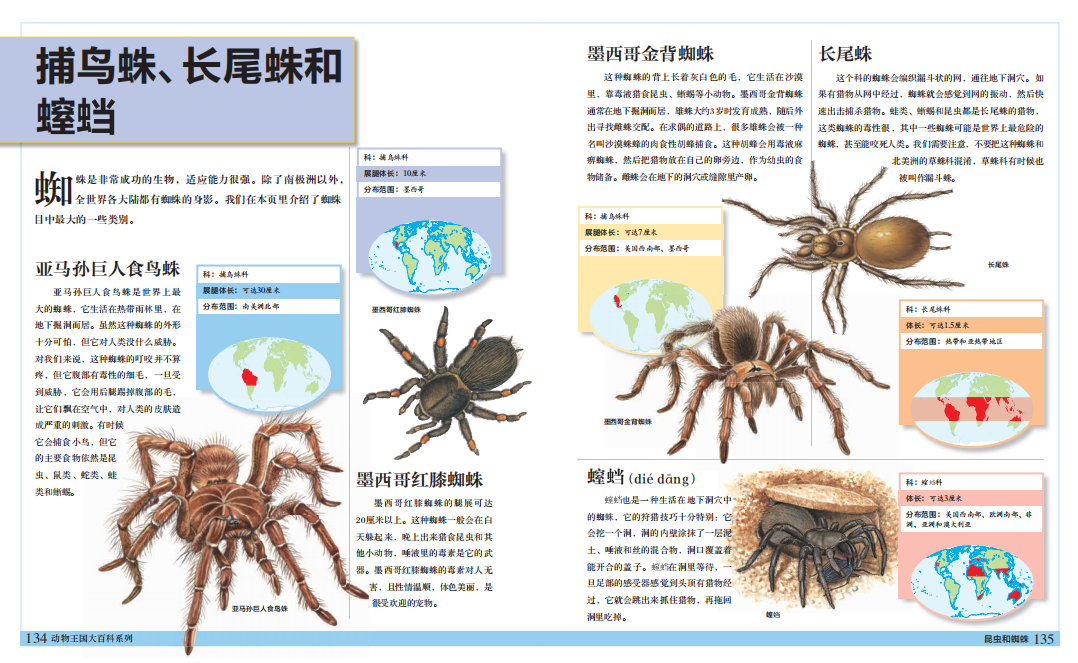 正版2册 牛津大学昆虫图鉴 昆虫和蜘蛛 350多幅栩栩如生的动物插图
