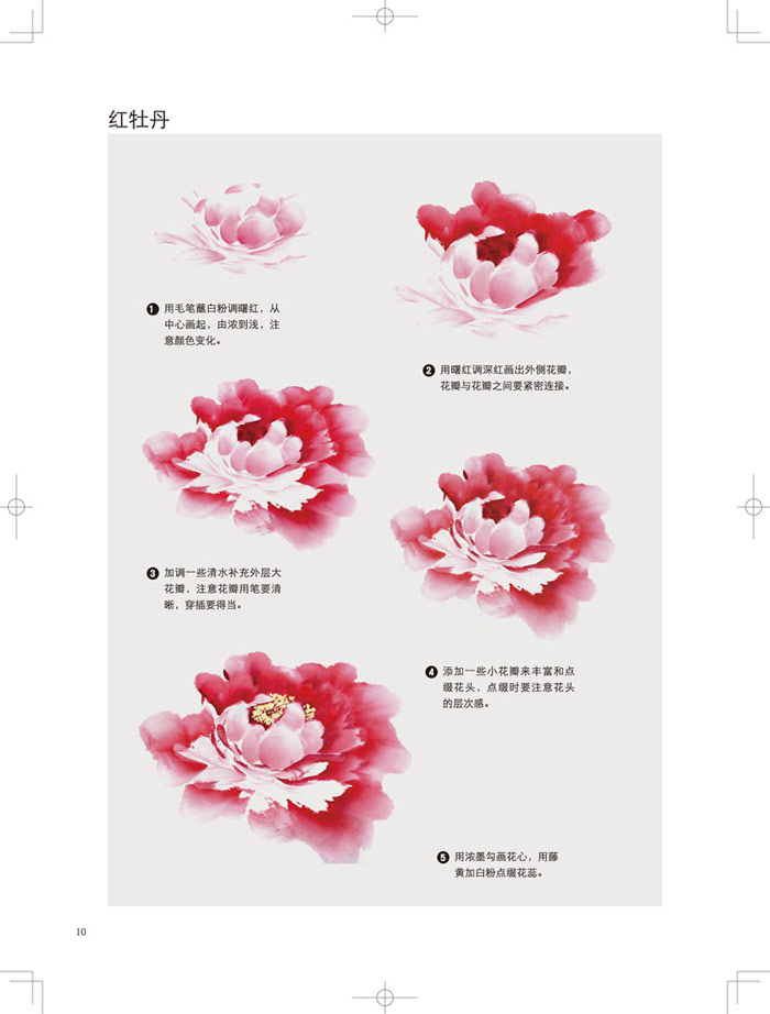 牡丹 水墨画绘画技法 从零开始学国画 国画初学者jing选 国画自学教程
