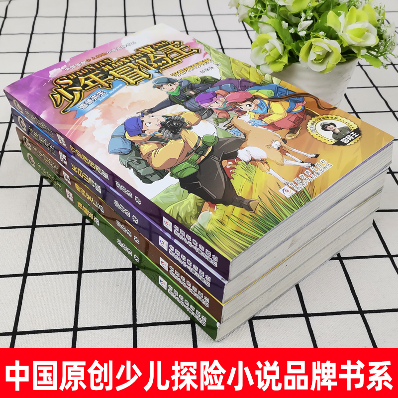 少年冒险王书全套4册彭绪洛著少儿探险小说勇闯死亡谷长白山寻踪珠峰