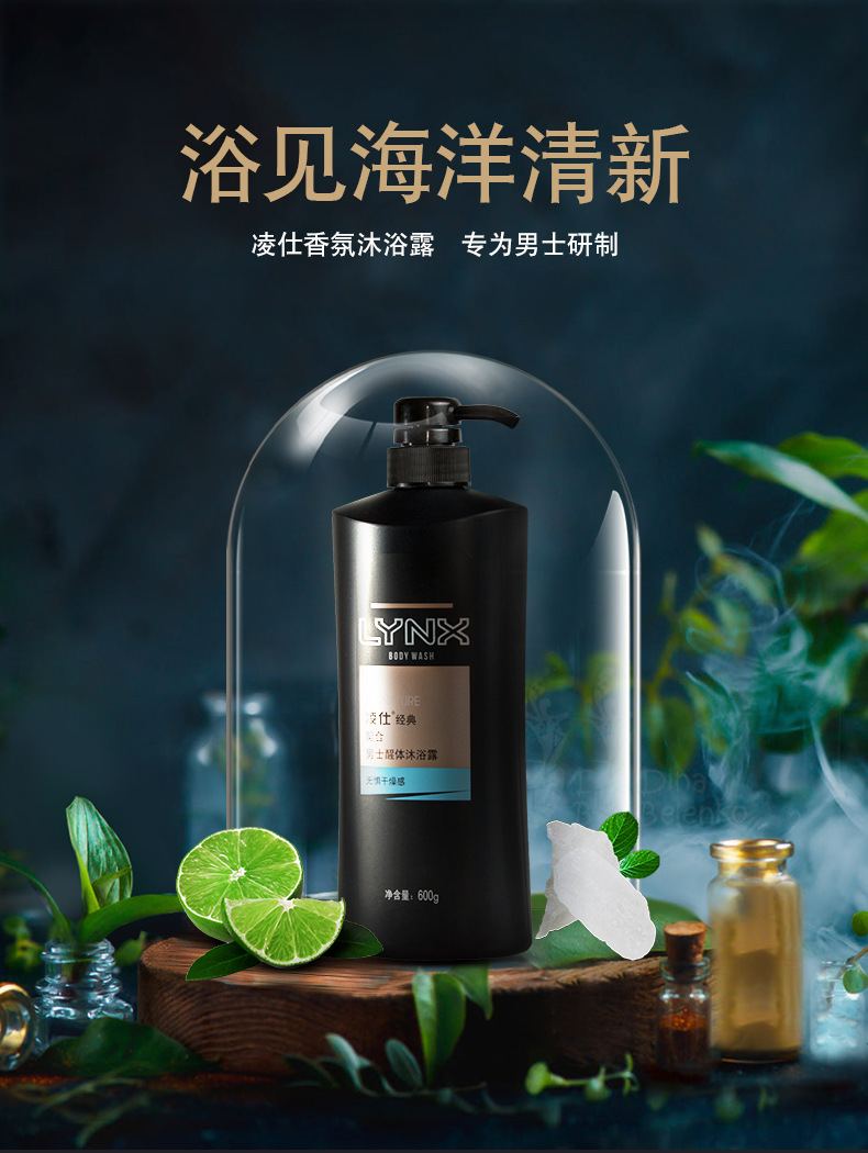 凌仕lynx男士沐浴露经典契合海盐柠檬600g持久留香清爽控油古龙香氛