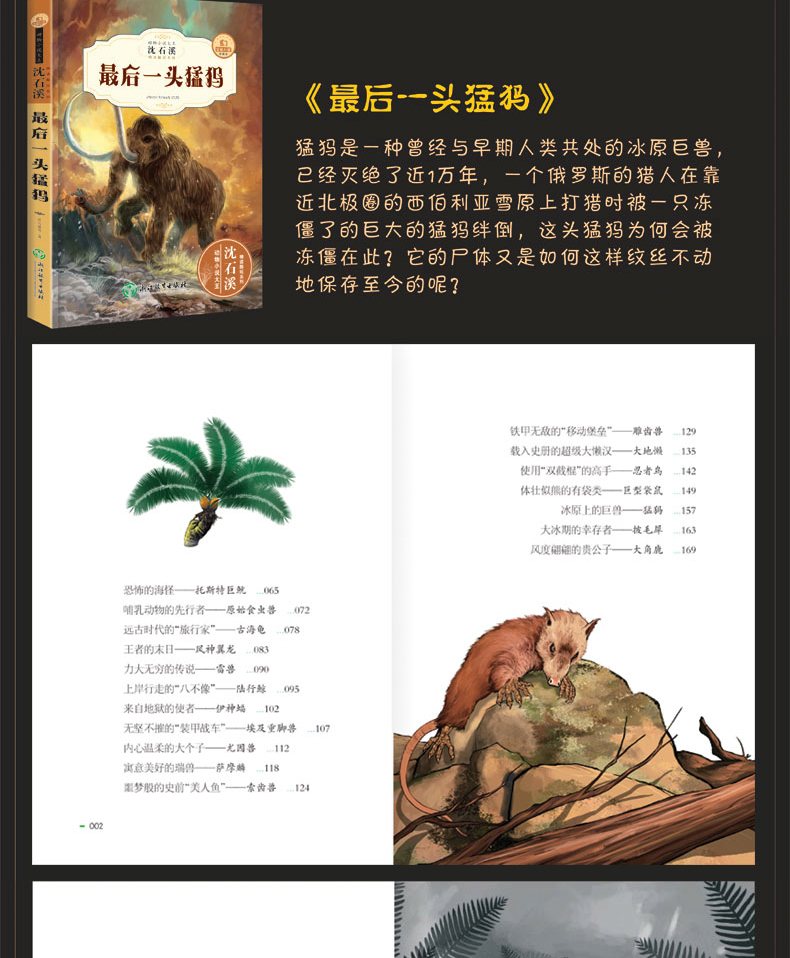 沈石溪动物小说全集系列全套6册正版神风火烈鸟后一头猛犸泣血鲸魂猎