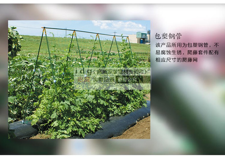 家装好货园艺支架植物爬藤架丝瓜支架瓜架攀爬架植物支架园艺爬藤架21