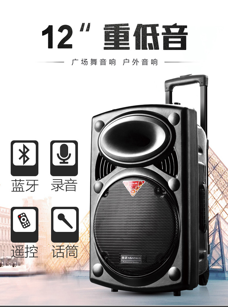 金正(nintaus)时尚迷你/组合音响n66 n66拉杆12寸跳广场舞音响户外