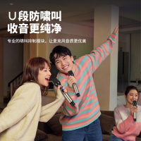 索爱(soaiy) SA-W18 专业话筒万能通用充电麦克风无线会议唱歌KTV演出舞台 双麦