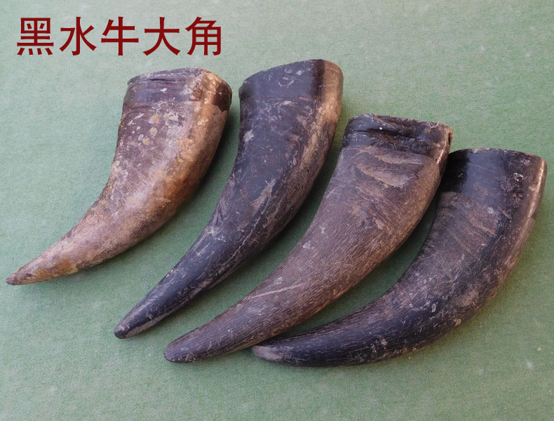 实心牛角原料 天然黑水牛角梳佛珠刀柄刮痧按摩牛角卦把玩料