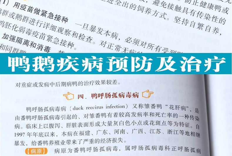 【诺森正版】鸭鹅病诊治原色图谱蛋鸭养殖技术养鸭书籍高效养鸭子疾病