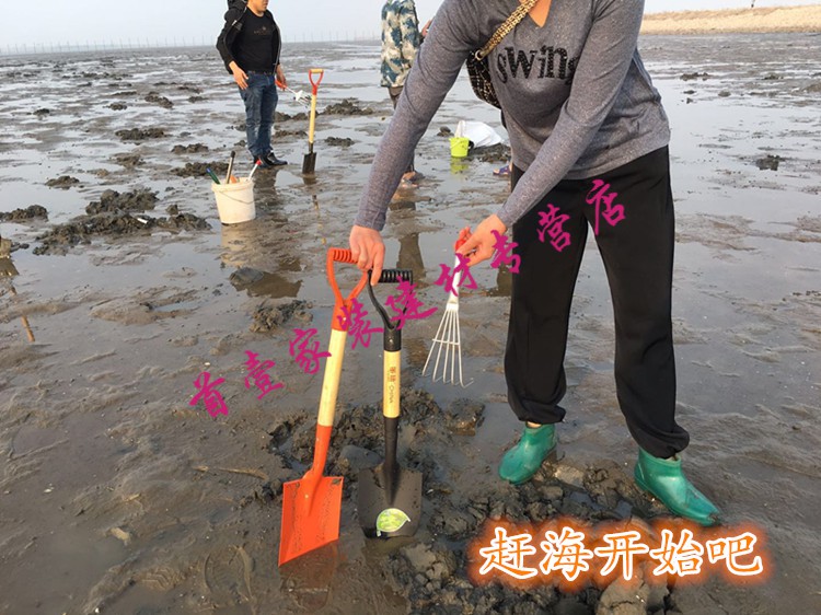 定做不锈钢耙子沙滩蛤蜊挖海鲜工具挖蚬子蛏子铲子挖贝壳赶海神器1号