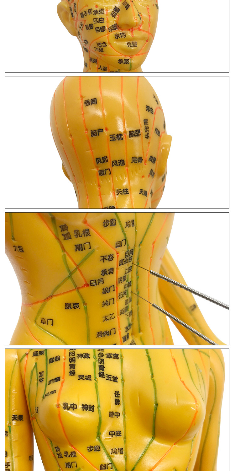 520针灸穴位经络人体模型可针扎练习中教学小人铜人男女针炙全身