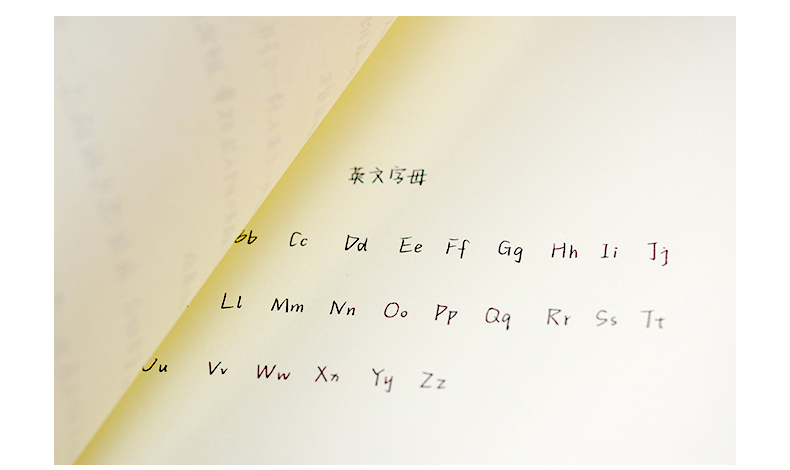 新品奶酪陷阱字帖女生字体漂亮练字帖贴本大学生楷书行楷行书硬笔书法