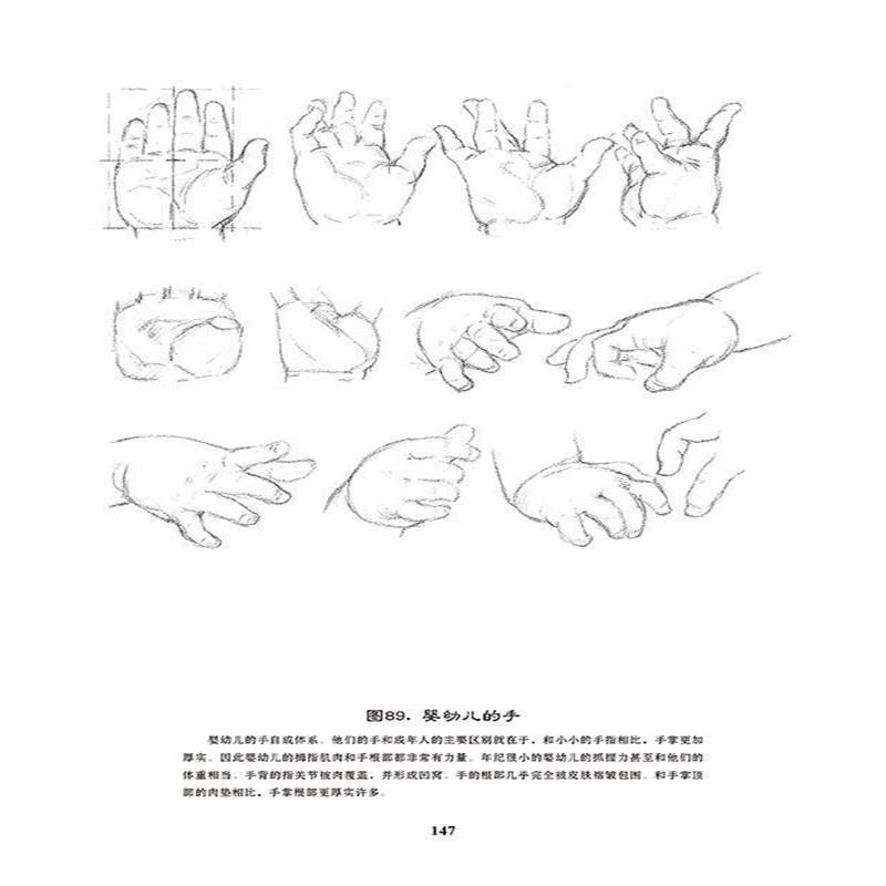 全新正版 路米斯经典美术课:头手素描