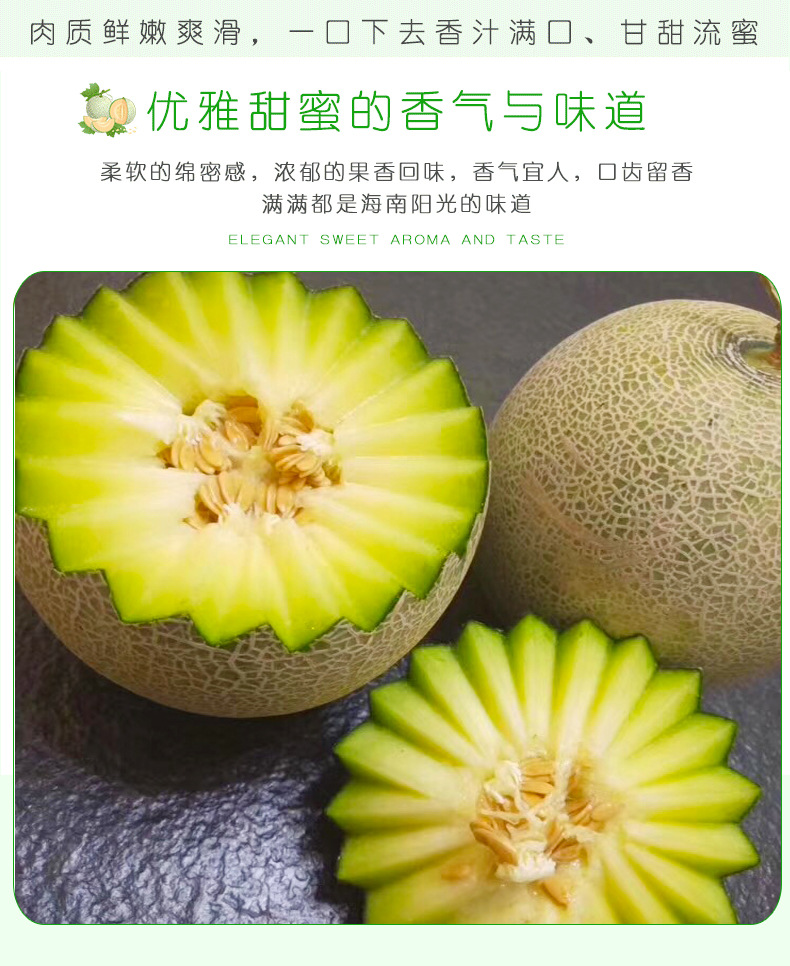 海南玲珑蜜瓜9斤整箱约24个装网纹蜜瓜枚珑瓜