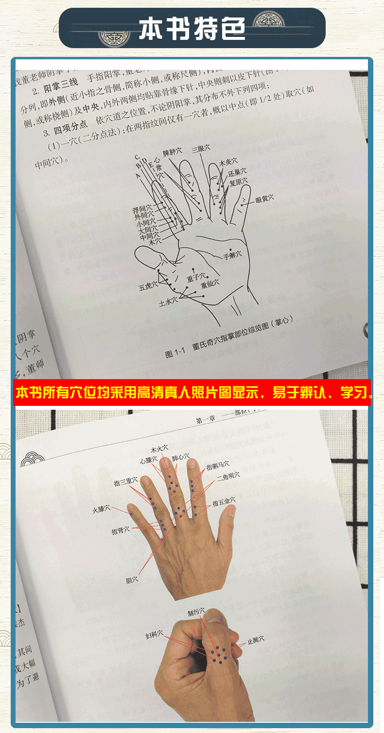 董氏奇穴穴位诠解杨维杰著董氏奇穴实用手册邱雅昌正版董氏针灸正经