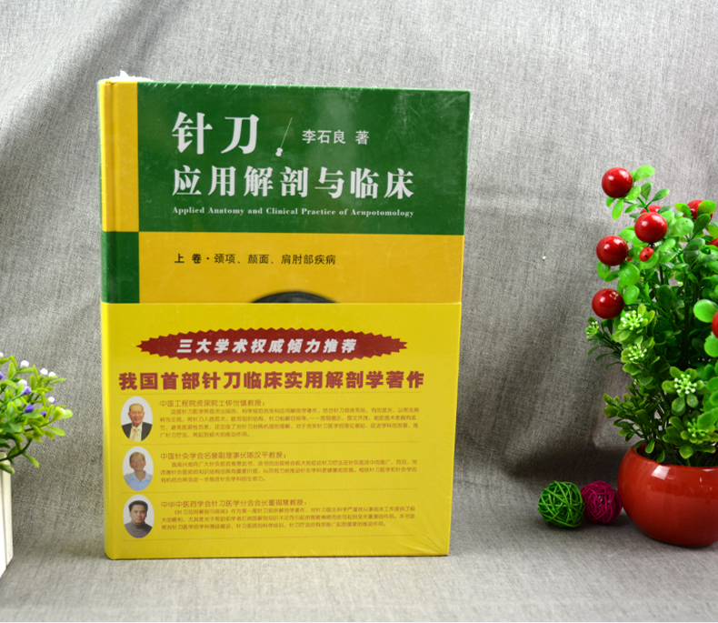 正版针刀应用解剖与临床上下卷针刀临床诊断与治疗中医针刀医学书籍