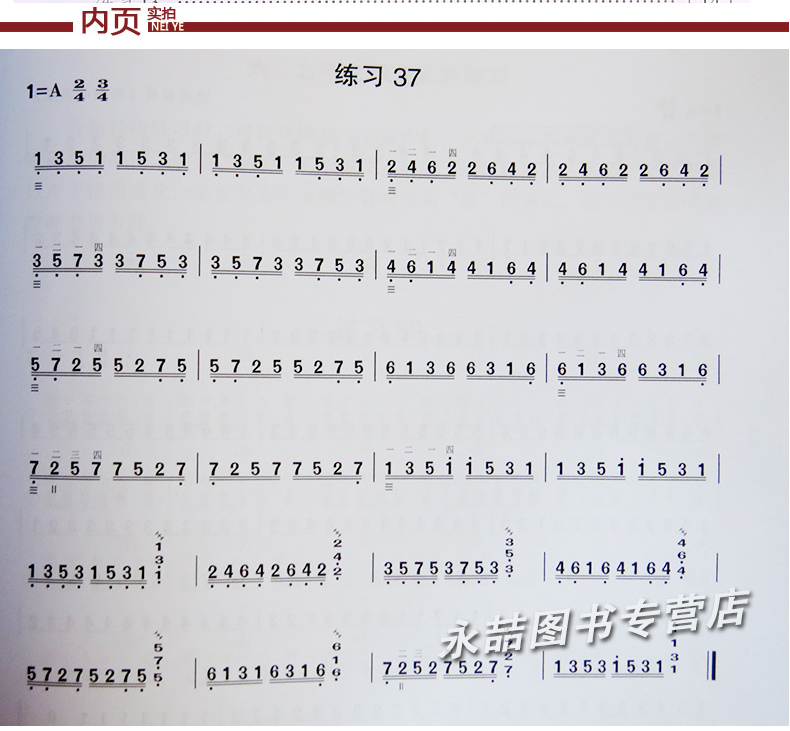 友一个11年猫店每日必弹琵琶指能练习曲庄永平编著民族器乐弹拨乐技法