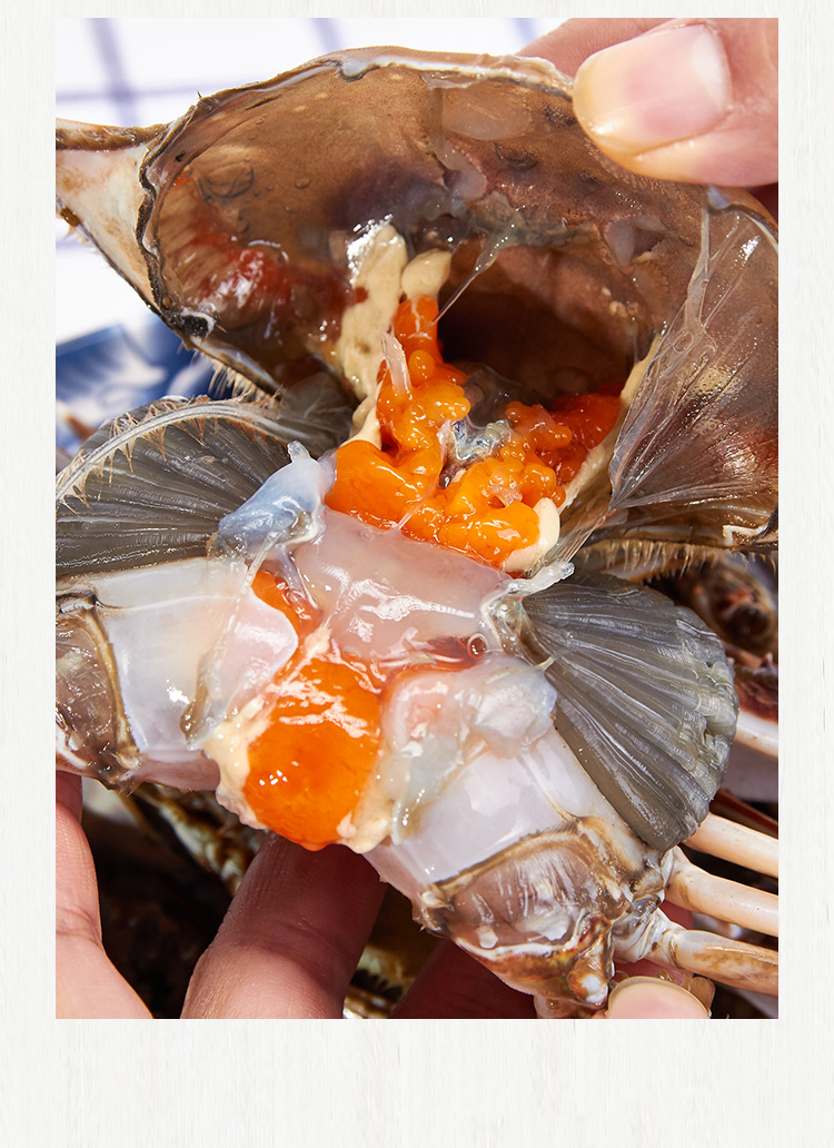 三座海醉蟹梭子蟹烟台红膏炝蟹呛蟹整只即食山东羊口咸蟹子腌螃蟹海鲜