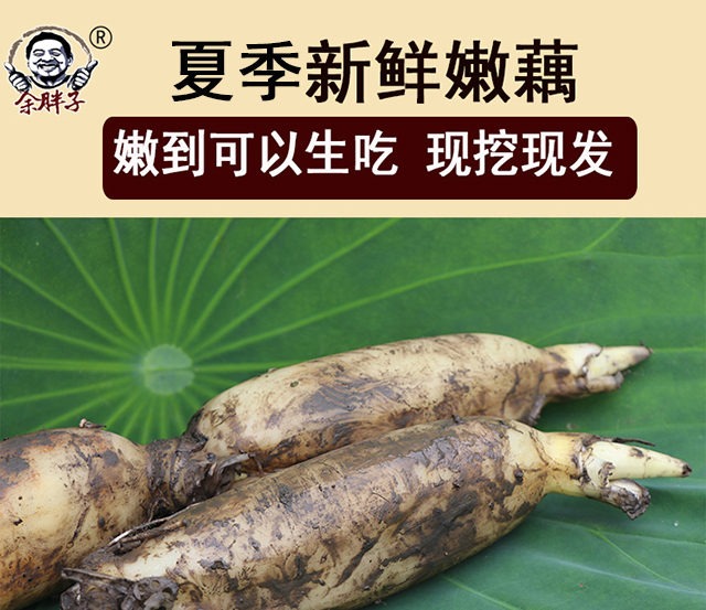 余胖子根茎类 顺丰4斤湖北洪湖新鲜莲藕新花藕脆藕嫩藕现挖清甜脆嫩