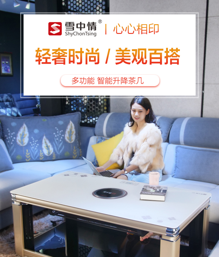 雪中情(xuezhongqing)取暖电器xzq-11 雪中情电暖炉电暖桌升降茶几